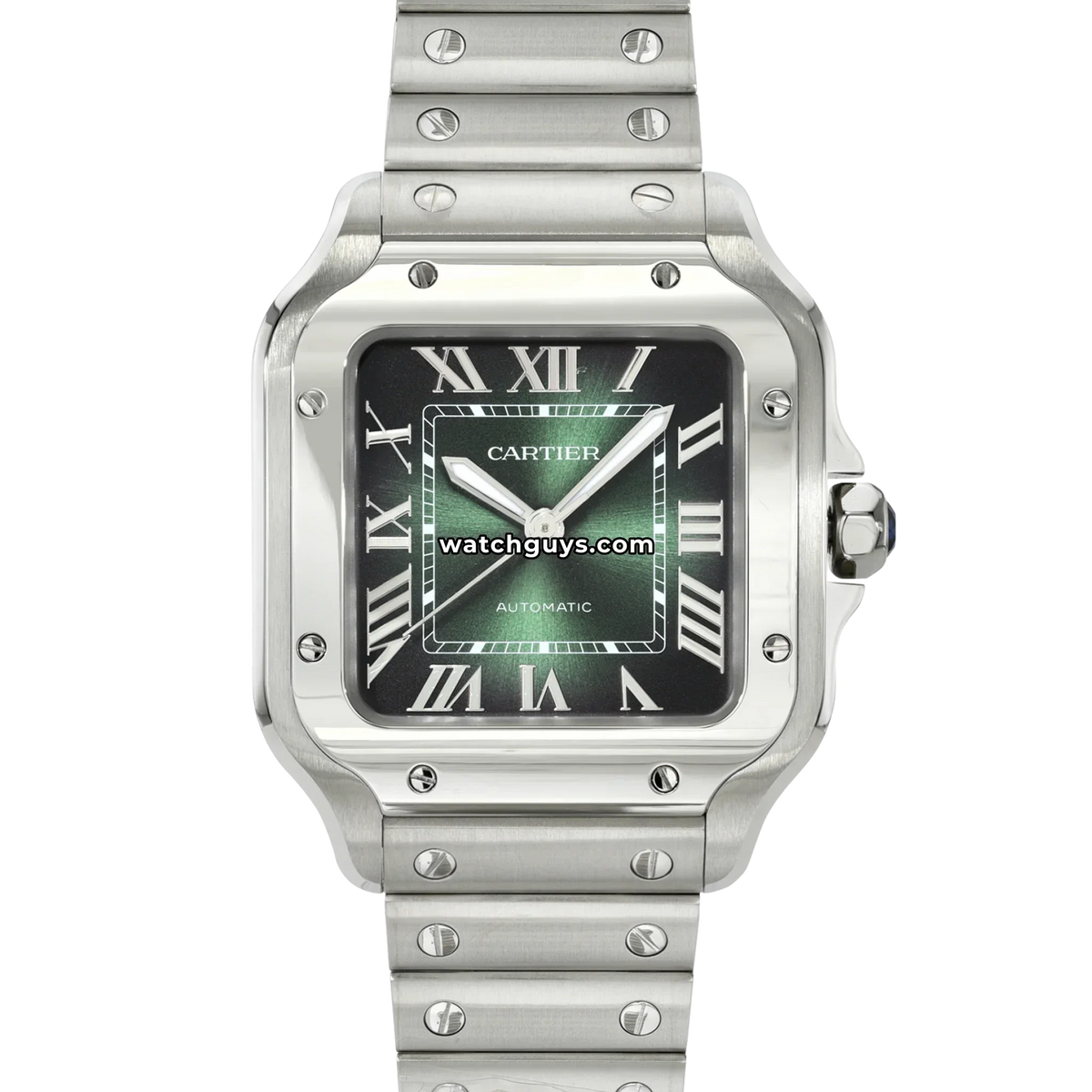 Cartier Santos Medium WSSA0061 Green